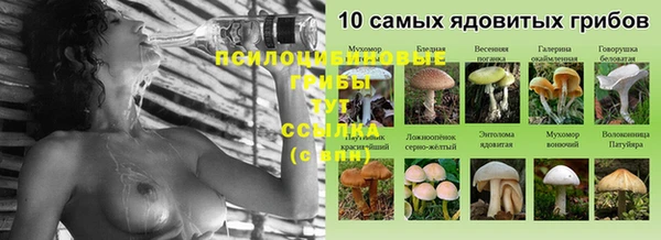 MESCALINE Горняк