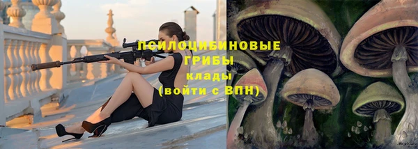ECSTASY Горнозаводск